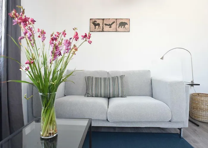 Casas Do Pinheiro * Cedros