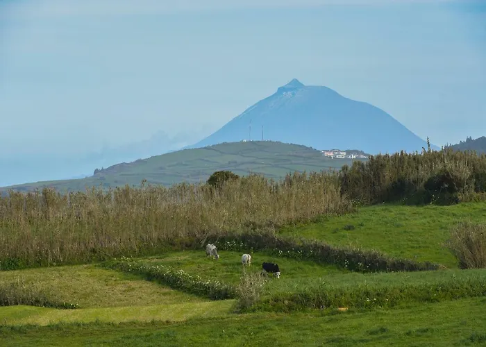 Casas Do Pinheiro Cedros